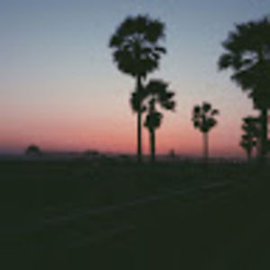 Meet your Posher, Sydney